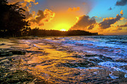 Turtle Bay Hawaii High Definition Photograph by Jason Brooks Turtle Bay Hawaii High Definition Photograph by Jason Brooks