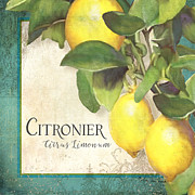 Tuscan Lemon Tree - Citronier Citrus Limonum Vintage Style Painting by Audrey Jeanne Roberts Tuscan Lemon Tree - Citronier Citrus Limonum Vintage Style Painting by Audrey Jeanne Roberts