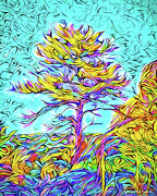 Twilight Autumn Glow - Colorado Mountain Pine Digital Art by Joel Bruce Wallach