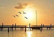 Twilight Photograph by Carolyn Mickulas