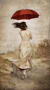 Twirling Painted Lady Photograph by Alissa Beth Photography