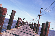 Two Birds on a Pier Photograph by Ana V Ramirez Two Birds on a Pier Photograph by Ana V Ramirez