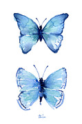 Two Blue Butterflies Watercolor Painting by Olga Shvartsur