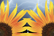 Two Sunflower lightning Storm Photograph by James BO Insogna
