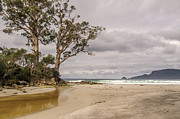 Two Tree Point Photograph by Werner Padarin