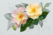 Two wild Roses Painting by Ivana Westin