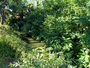 Ulatis Creek - 2 Photograph by K Bradley Washburn Ulatis Creek - 2 Photograph by K Bradley Washburn