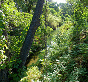 Ulatis Creek - 3 Photograph by K Bradley Washburn Ulatis Creek - 3 Photograph by K Bradley Washburn