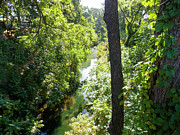 Ulatis Creek Photograph by K Bradley Washburn Ulatis Creek Photograph by K Bradley Washburn