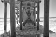 Under Huntington Beach Pier Photograph by Ana V Ramirez