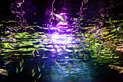 Under The Rainbow Photograph by Az Jackson Under The Rainbow Photograph by Az Jackson