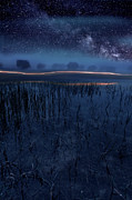 Under the shadows Photograph by Jorge Maia