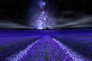 Under the Stars Photograph by Jorge Maia