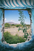 Untamed Photograph by Becqi Sherman Untamed Photograph by Becqi Sherman