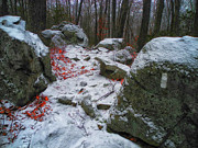 Up Moneyhole Mountain Photograph by Raymond Salani III Up Moneyhole Mountain Photograph by Raymond Salani III