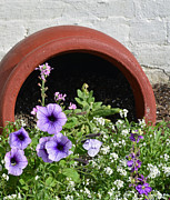 Upended Flower Pot Jekyll Island Historic District Photograph by Bruce Gourley