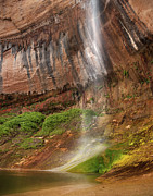 Upper Calf Creek Falls Photograph by Leland D Howard