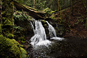Upper Cascade Falls Photograph by John Christopher