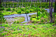upper Imnaha River from the trail to the Blue Hole Photograph by Bruce Block
