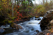 Upper Long Slide Falls Photograph by Brook Burling