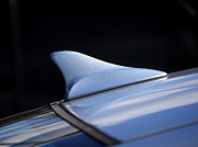 Urban Shark Photograph by Richard Reeve