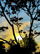 Urban Sunrise 2 Photograph by Cate Franklyn