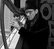 Vagrant music Photograph by Elena Perelman