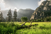 Valley Arise Photograph by Ryan Weddle