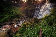 Valley of Golden Light Photograph by Neil Shapiro