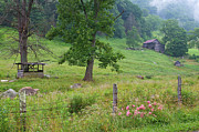 Valley of the Past Photograph by Blaine Owens