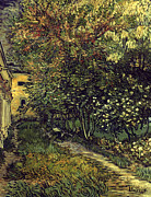 The Park of St Paul's Hospital at St Remy, 1889 Painting by Vincent Van Gogh - GRANGER Historical Picture Archive The Park of St Paul's Hospital at St Remy, 1889 Painting by Vincent Van Gogh - GRANGER Historical Picture Archive