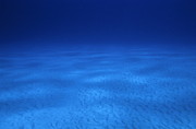 Vast sandy ocean floor and blue waters Photograph by Sami Sarkis Photography