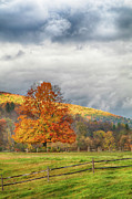 Vermont fall colors after the rain Photograph by Jeff Folger
