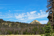 View From Crystal Lake Trail Photograph by K Bradley Washburn View From Crystal Lake Trail Photograph by K Bradley Washburn