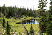 View From Long Lake Trail Photograph by K Bradley Washburn View From Long Lake Trail Photograph by K Bradley Washburn