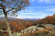 View from Raven Rocks Photograph by M C Hood