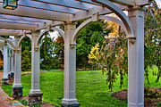 View from the Garden Way Photograph by Mike Smale