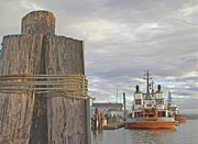 View from the Pilings Photograph by Suzy Piatt