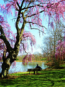 View of the Lake in Spring Photograph by Susan Savad View of the Lake in Spring Photograph by Susan Savad