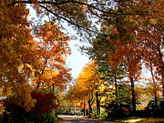 Village Street in Autumn Photograph by Susan Savad Village Street in Autumn Photograph by Susan Savad