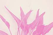 Wabi Sabi Garden 1- Art by Linda Woods Mixed Media by Linda Woods