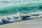 Curling Beach Wave Photograph by Terry Walsh