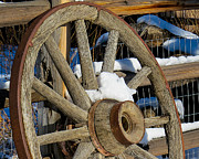 Wagon Wheel 1 Photograph by Christy Garavetto Wagon Wheel 1 Photograph by Christy Garavetto