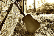 Waiting to Play Photograph by Sharon Popek