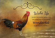 Wake Up Photograph by Kim Hojnacki