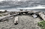 Sit here and Watch the Sea Photograph by Kathy Paynter