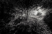 Walking in Riddlesden Photograph by Mariusz Talarek