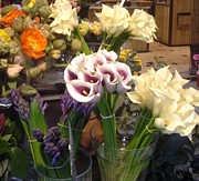 Walking in the streets of Paris. Flowers in Montparnasse  Photograph by Antonella Manganelli