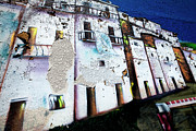 Wall Mural Photograph by Theresa Tahara