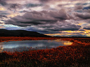 Wallkill River National Wildlife Refuge Photograph by Raymond Salani III